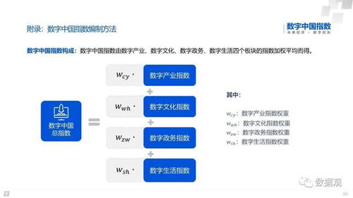 2020數字中國指數報告 上海互聯網發展洞察與趨勢