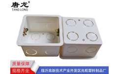 PVC接線盒行業(yè)解析 滄州與臨沂的專業(yè)制造優(yōu)勢